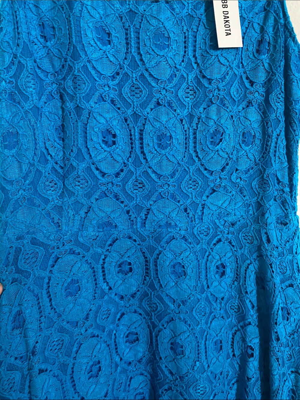 BB Dakota Teal Lace Fit & Flare Mini Dress - Picture 4 of 4